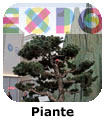 Piante Expo